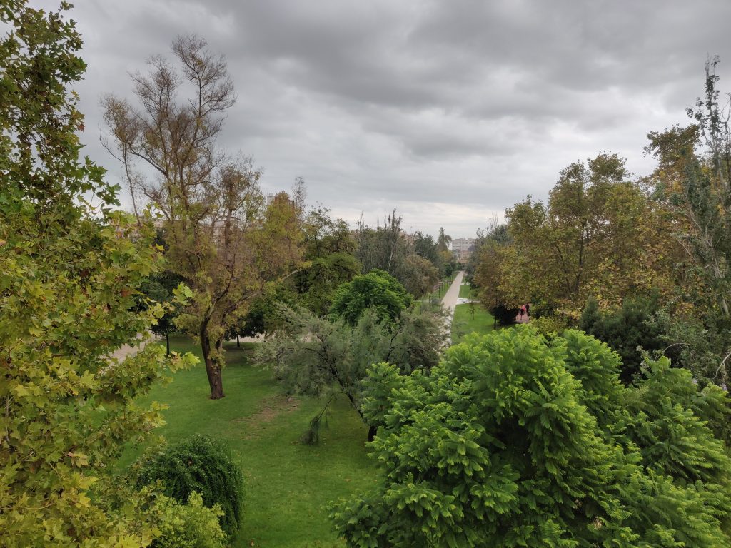 A view of the Turia River Park in Valencia