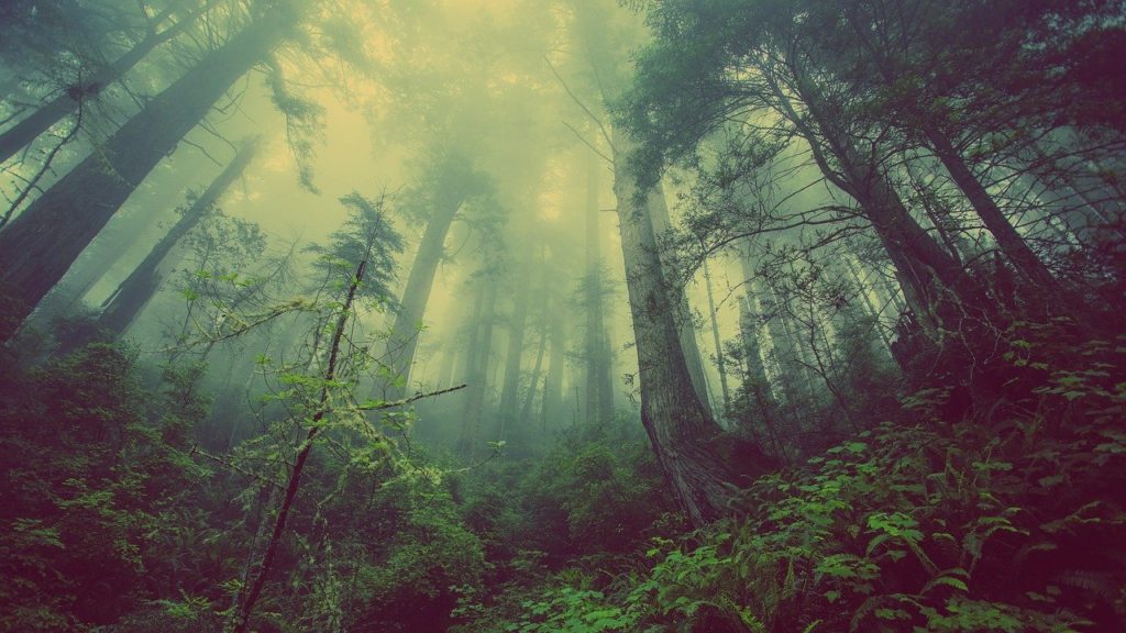 carbon offsetting might help with sustainable travel