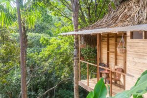The Fort hostel in the Colombian Amazon Jungle