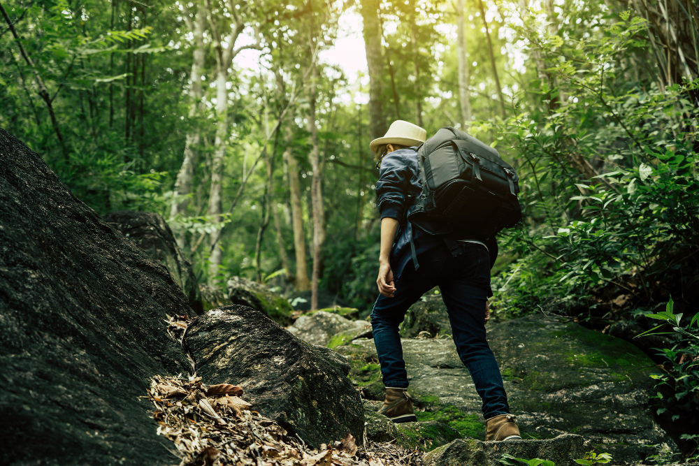 OUR BEGINNERS HIKING TIPS WILL HELP YOU PLAN YOUR HIKE